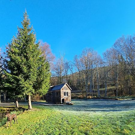 Insolite Tiny House Serenite Bien Etre Ban-sur-Meurthe-Clefcy 外观 照片