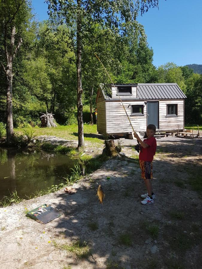 Insolite Tiny House Serenite Bien Etre Ban-sur-Meurthe-Clefcy 外观 照片