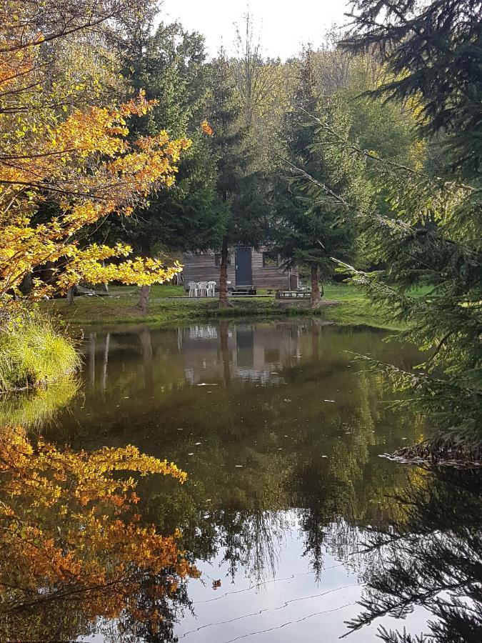 Insolite Tiny House Serenite Bien Etre Ban-sur-Meurthe-Clefcy 外观 照片