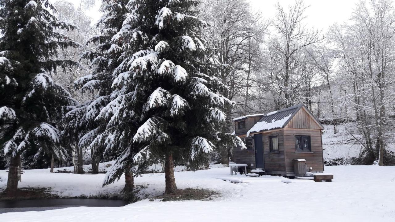 Insolite Tiny House Serenite Bien Etre Ban-sur-Meurthe-Clefcy 外观 照片